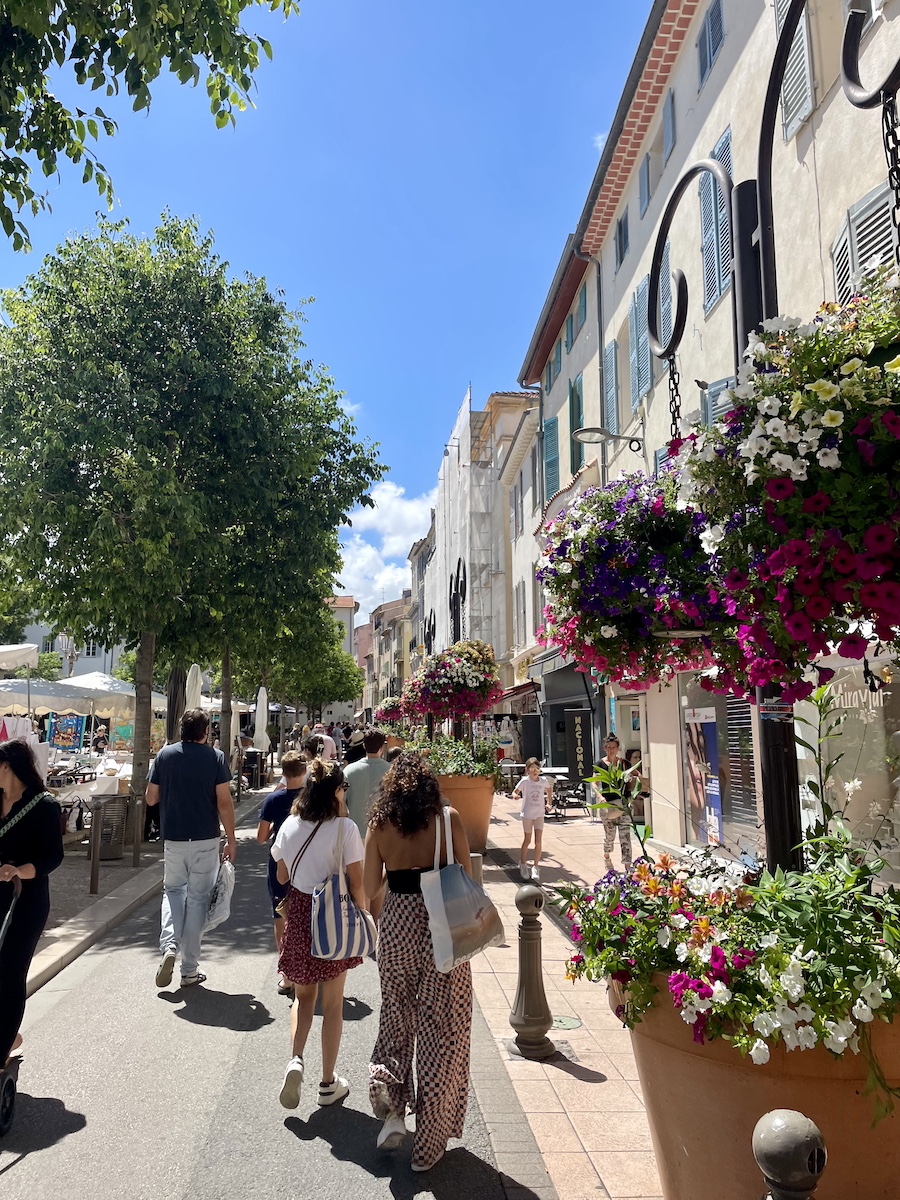 Sidewalk on sunny day with pink and white flower planters