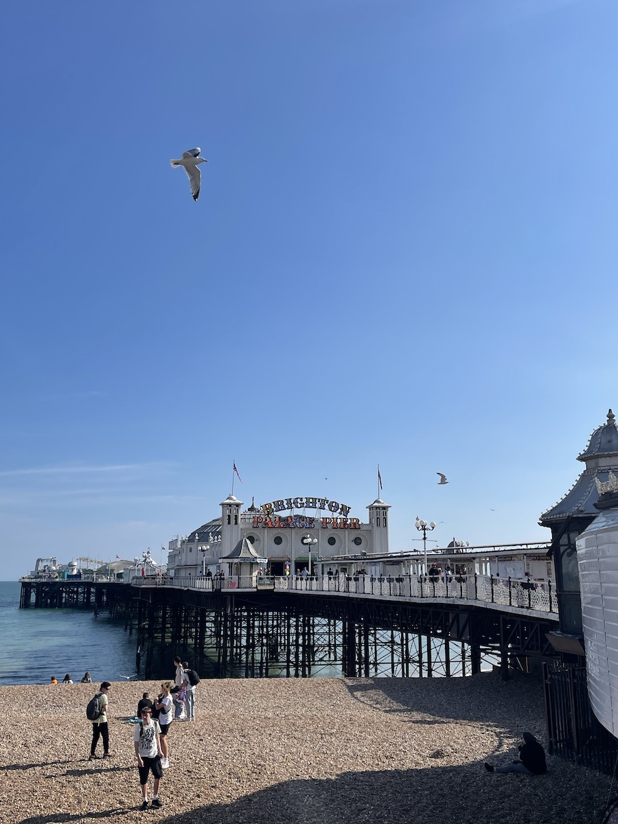 Elevated pier on a dock with seagulls flying, Brighton Pier sign