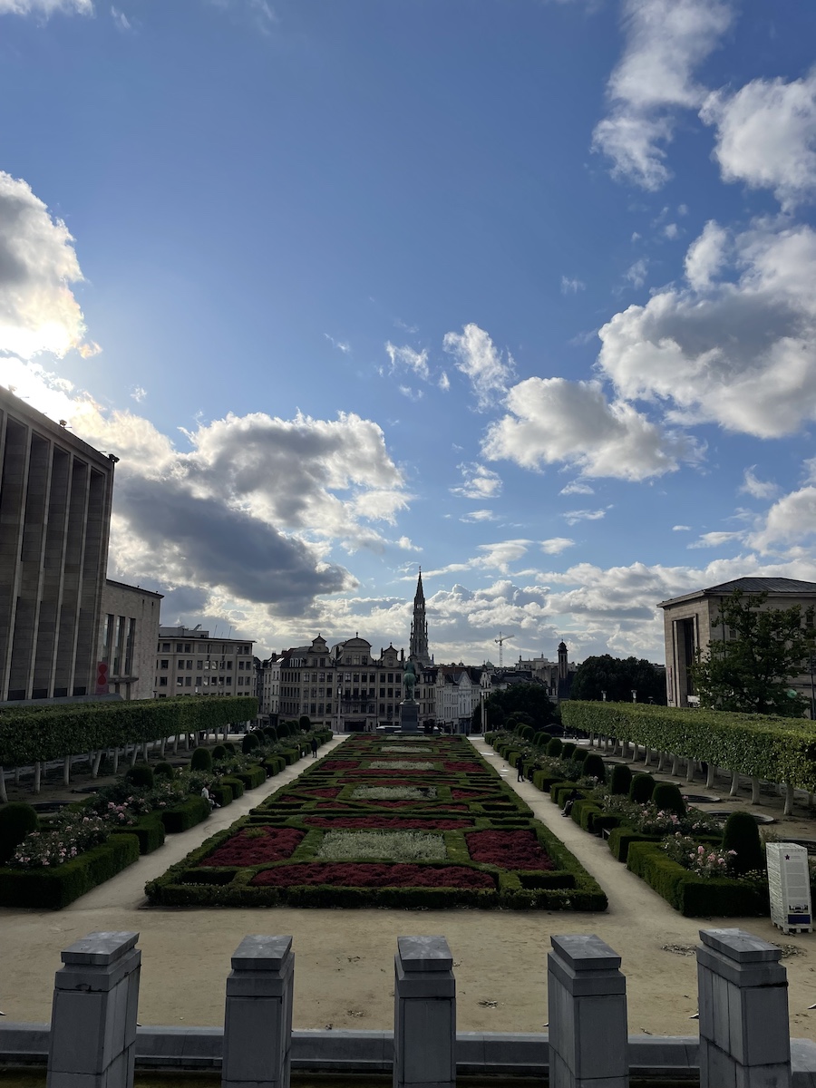Field of flowers and bushes with a view of city buildings