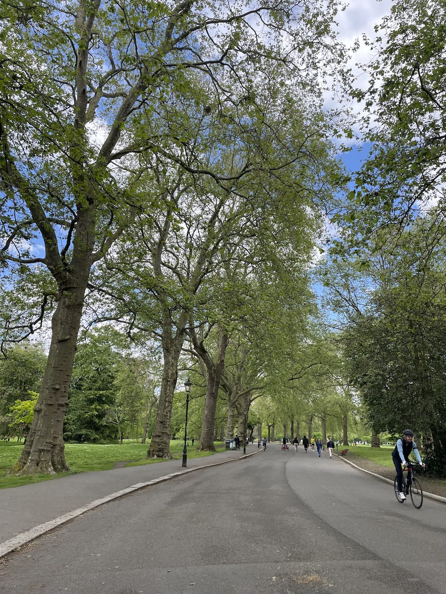 Road with individuals walking or biking, under trees along road