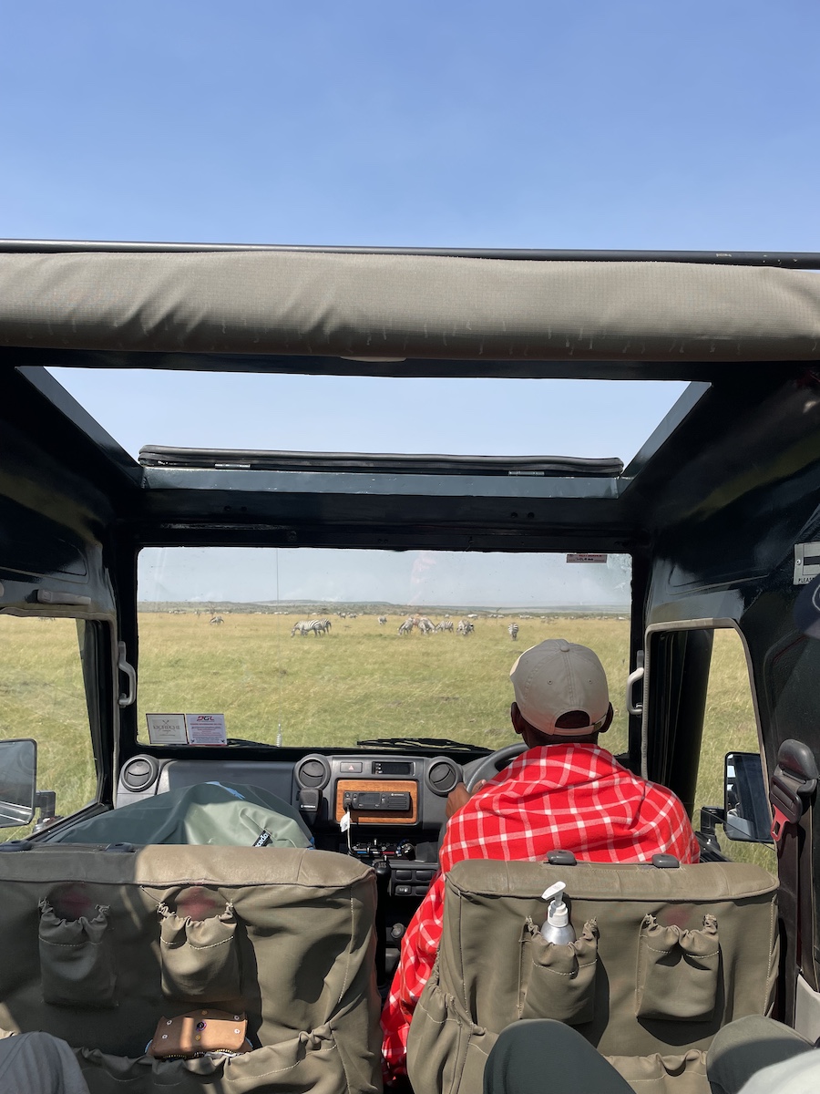Front of jeep, showing zebras in front of jeep