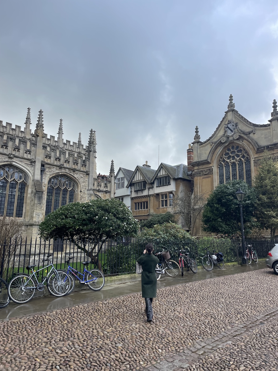 Corner view of Oxford buildings behind shrubs