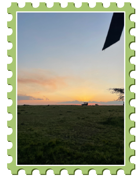 Silhouette of jeep during sunset on safari